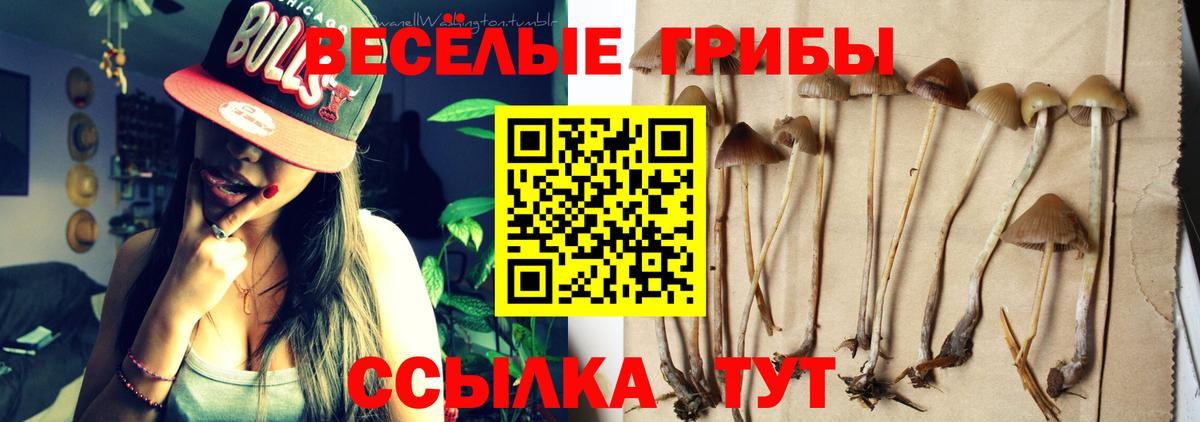 Псилоцибиновые грибы GOLDEN TEACHER Югорск